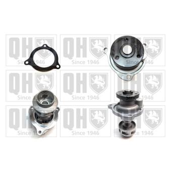 Pompe à eau QUINTON HAZELL