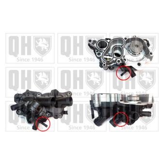 Pompe à eau QUINTON HAZELL QCP3863BH2