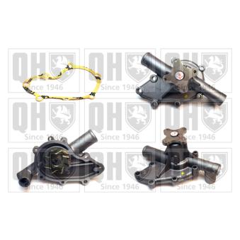 Pompe à eau QUINTON HAZELL