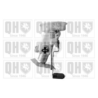 Unité d'injection de carburant QUINTON HAZELL QFP802