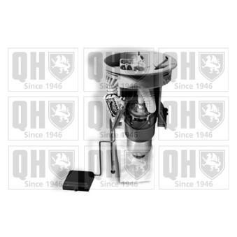 Unité d'injection de carburant QUINTON HAZELL QFP839