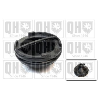 Vis-bouchon, carter d'huile QUINTON HAZELL