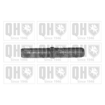 Boulon, alignement des roues QUINTON HAZELL