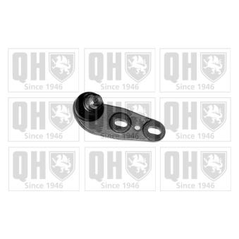 Rotule de suspension QUINTON HAZELL