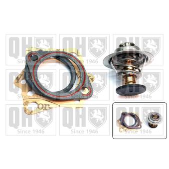 Thermostat d'eau QUINTON HAZELL QTH179K
