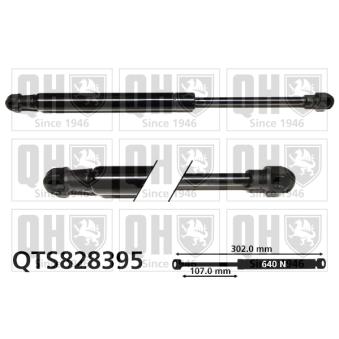 Vérin de hayon, de coffre QUINTON HAZELL QTS828395