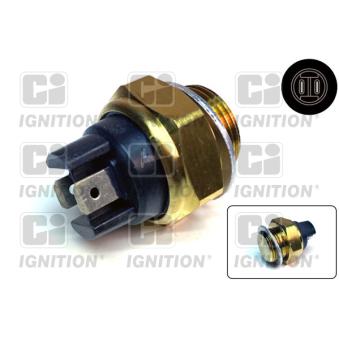 Interrupteur de température, ventilateur de radiateur QUINTON HAZELL