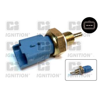 Sonde de température, liquide de refroidissement QUINTON HAZELL