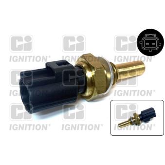 Sonde de température, liquide de refroidissement QUINTON HAZELL