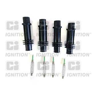 Fiche, bougie d'allumage QUINTON HAZELL