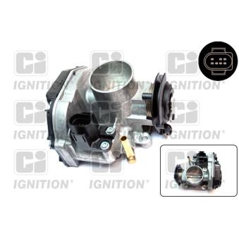 Corps papillon QUINTON HAZELL