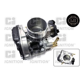 Corps papillon QUINTON HAZELL