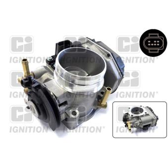 Corps papillon QUINTON HAZELL