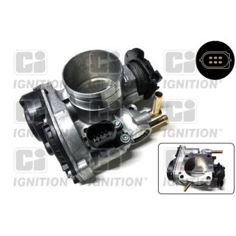 Corps papillon QUINTON HAZELL