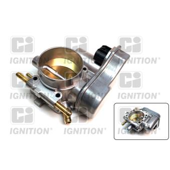 Corps papillon QUINTON HAZELL