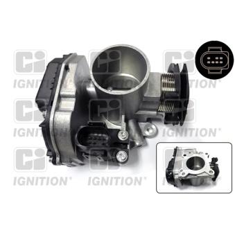 Corps papillon QUINTON HAZELL