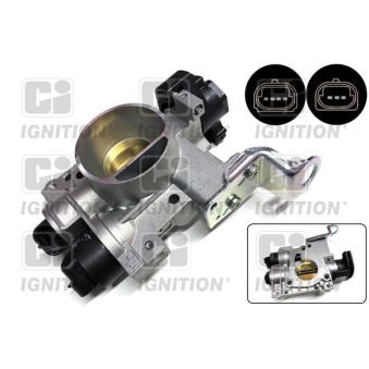 Corps papillon QUINTON HAZELL