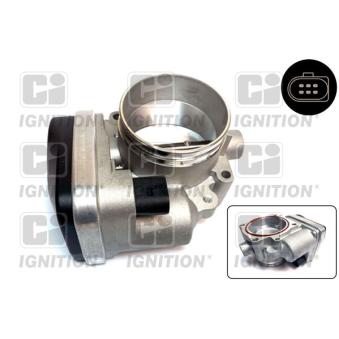 Corps papillon QUINTON HAZELL