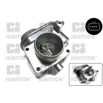 Corps papillon QUINTON HAZELL