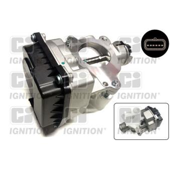 Corps papillon QUINTON HAZELL