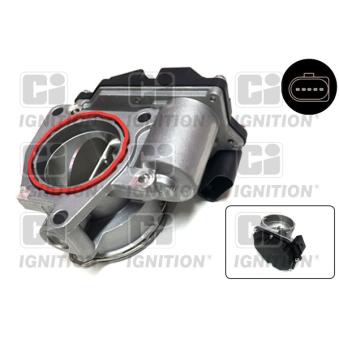 Corps papillon QUINTON HAZELL