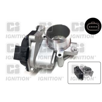 Corps papillon QUINTON HAZELL