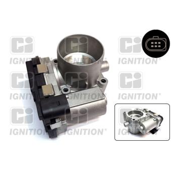 Corps papillon QUINTON HAZELL