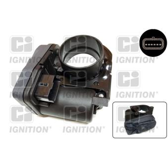 Corps papillon QUINTON HAZELL