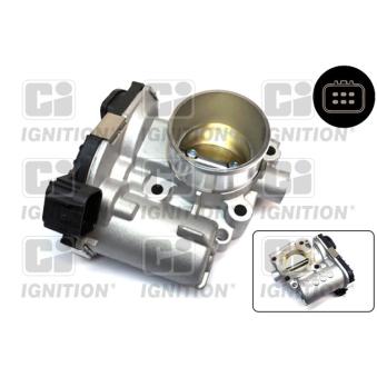 Corps papillon QUINTON HAZELL