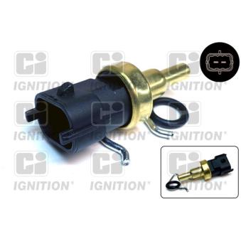 Sonde de température, liquide de refroidissement QUINTON HAZELL