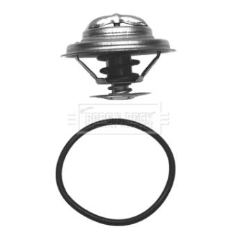 Thermostat d'eau BORG & BECK BBT014