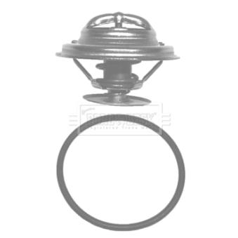 Thermostat d'eau BORG & BECK BBT019