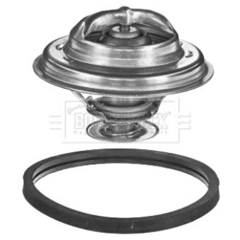 Thermostat d'eau BORG & BECK BBT032