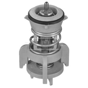 Thermostat d'eau BORG & BECK BBT482