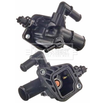 Thermostat d'eau BORG & BECK BBT500