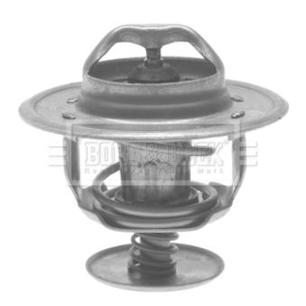 Thermostat d'eau BORG & BECK BTS154.83