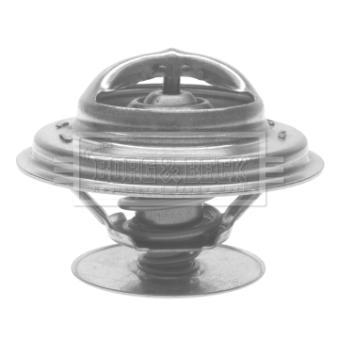 Thermostat d'eau BORG & BECK BTS173.87