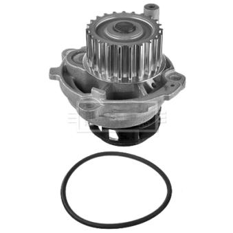 Pompe à eau BORG & BECK BWP2029