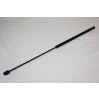 Vérin, capot-moteur AUTOMEGA 100016010