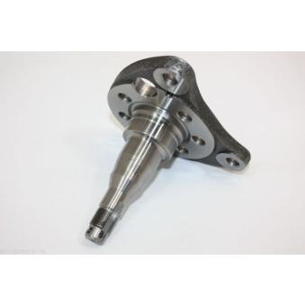 Bout d'essieu, corps de l'essieu arrière droit AUTOMEGA 110035910