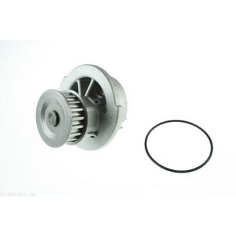 Pompe à eau AUTOMEGA