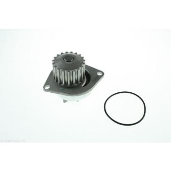 Pompe à eau AUTOMEGA