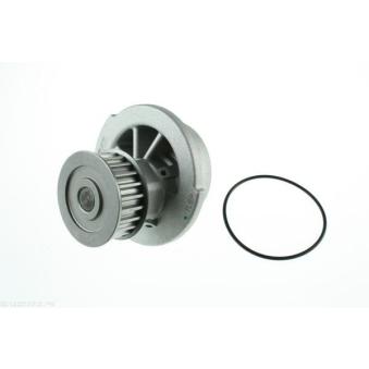 Pompe à eau AUTOMEGA