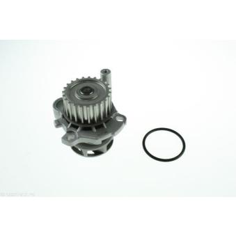 Pompe à eau AUTOMEGA