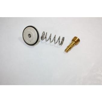 Thermostat d'eau AUTOMEGA