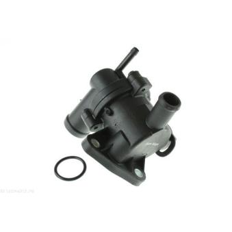 Thermostat d'eau AUTOMEGA