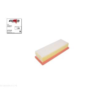 Filtre à air AUTOMEGA