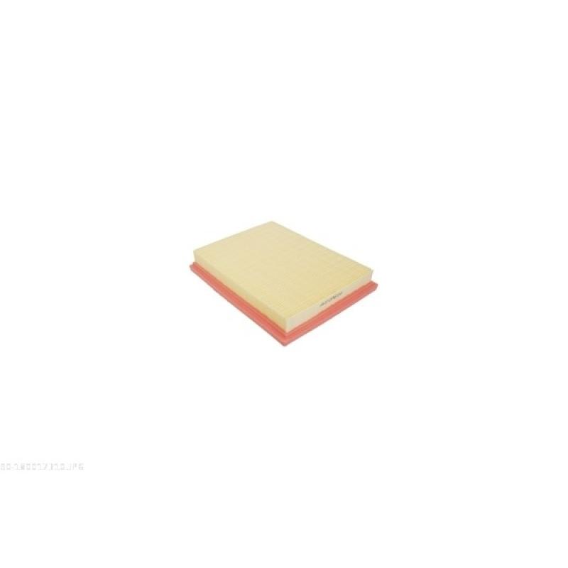 Filtre à air AUTOMEGA 180017310 - Visuel 1
