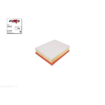 Filtre à air AUTOMEGA
