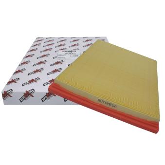 Filtre à air AUTOMEGA